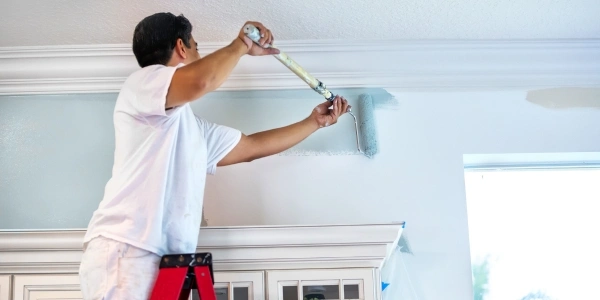 Asian Paints Deals
